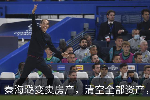 秦海璐变卖房产，清空全部资产，凑出近亿身家，绝境兜底救下刘涛